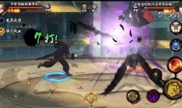 泳装鼬最新爆料,揭秘神秘泳装背后的故事与魅力