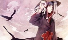 泳装鼬最新爆料,揭秘神秘泳装背后的故事与魅力