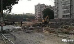 新华路最新爆料消息今天,揭秘神秘事件背后的真相！”