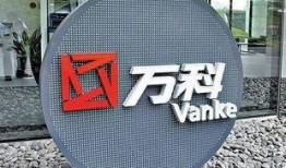 万科股东爆料最新消息新闻,最新消息揭示公司重大变革