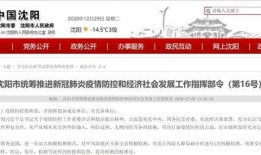 沈阳最新爆料,揭秘城市风云背后的惊人真相