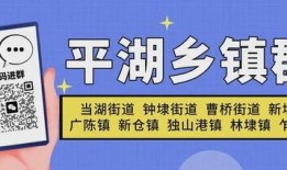平湖最新爆料事件视频,视频揭露惊人真相，事件背后有何隐情？