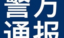 老易养最新爆料,行业最新动态深度解析