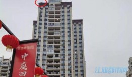 江油论坛爆料最新消息,揭秘某重大事件背后真相！