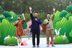 爱罗最新爆料新闻报道视频,揭秘幕后真相，视频内容引发热议