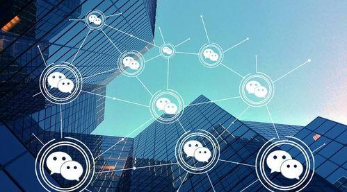 小程序最新动态爆料群聊,群聊爆料揭示行业新趋势！”